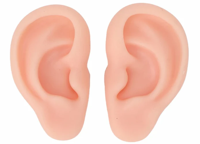 Silicone Ear Set used for Personal Attention ASMR. Left and Right Ear Included