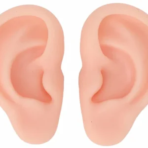 Silicone Ear Set used for Personal Attention ASMR. Left and Right Ear Included